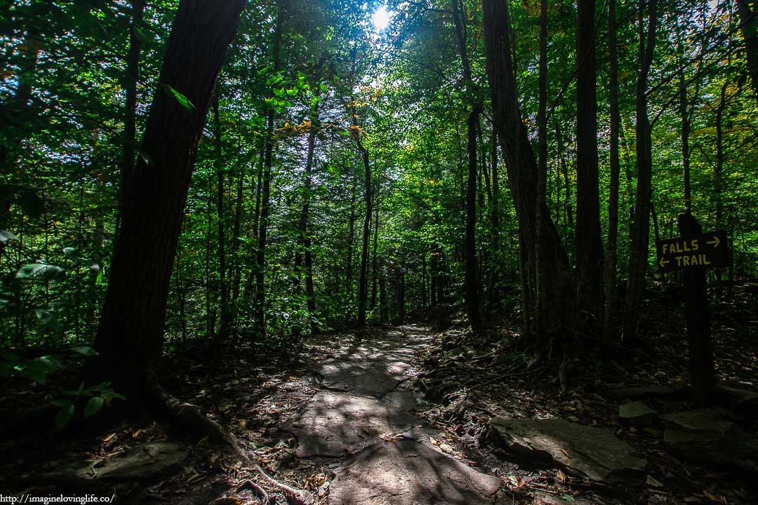 Ganoga Glen Falls Trail